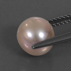3.36カラットの天然クリームピンクパール（7.70 mm・球体 / ボール）