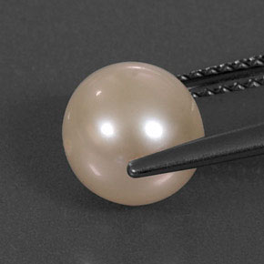 3.34カラットの天然クリームピンクパール（7.79 mm・球体 / ボール）