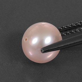 2.69カラットの天然クリームピンクパール（7.24 mm・球体 / ボール）
