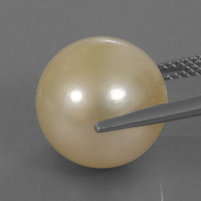 14.49カラットの天然ゴールデンパール（12.73 mm・球体 / ボール）