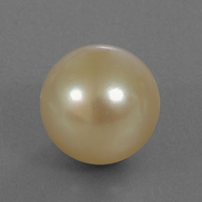 11.50カラットの天然ゴールデンパール（11.76 mm・球体 / ボール）