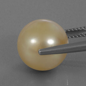 11.50カラットの天然ゴールデンパール（11.76 mm・球体 / ボール）
