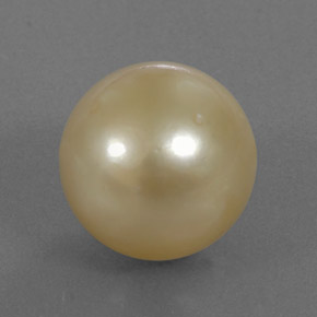 13.12カラットの天然ゴールデンパール（12.25 mm・球体 / ボール）
