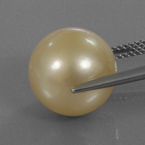 13.12カラットの天然ゴールデンパール（12.25 mm・球体 / ボール）