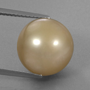 14.27カラットの天然ゴールデンパール（12.55 mm・球体 / ボール）