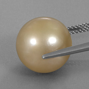 14.27カラットの天然ゴールデンパール（12.55 mm・球体 / ボール）