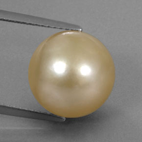 12.49カラットの天然ゴールデンパール（12.11 mm・球体 / ボール）
