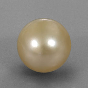 12.49カラットの天然ゴールデンパール（12.11 mm・球体 / ボール）