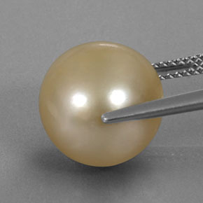 12.49カラットの天然ゴールデンパール（12.11 mm・球体 / ボール）