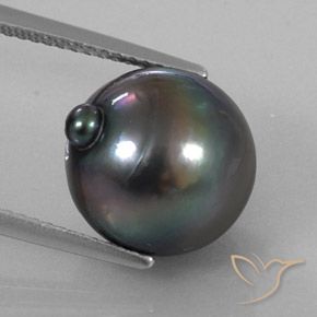 11.55ct 天然 ダークグレー パール, ファンシー, オペーク, Photo A