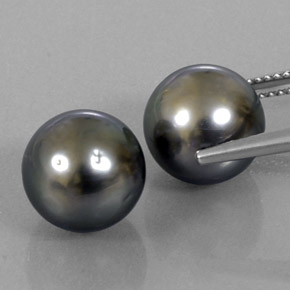 自然派の商品を探す 16.59ct シルバー パール 宝石, 球体 / ボール, 南洋 からGemSelectで. 在庫あり、世界各国へ発送!