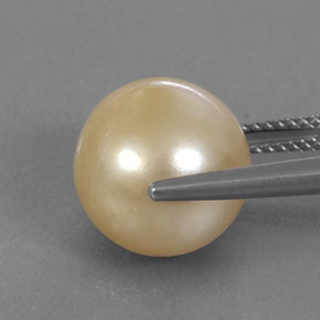 12.37カラットの天然ゴールデンパール（12.07 mm・球体 / ボール）