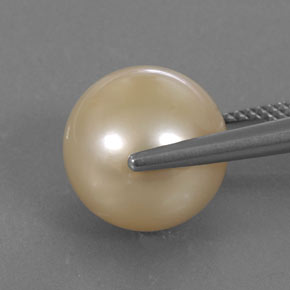 13.84カラットの天然ゴールデンパール（12.46 mm・球体 / ボール）