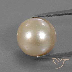 12.24ct 天然 ライトゴールド パール, スフェア / ボール, オペーク