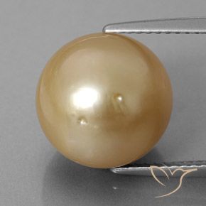 12.6 カラット イエロー パール ジェムストーン, ボール ルースパール 南海から, 天然宝石, 12 mm, Photo A