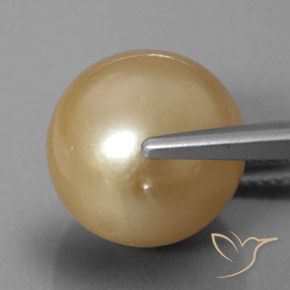 12.60カラットの天然ゴールデンパール（12.03 mm・球体 / ボール）
