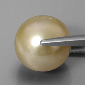 11.75カラットの天然ゴールデンパール（11.94 mm・球体 / ボール）