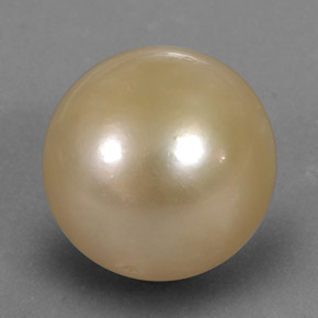 13.15カラットの天然ゴールデンパール（12.26 mm・球体 / ボール）