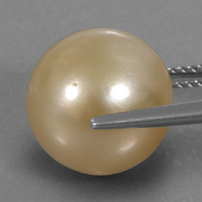 13.15カラットの天然ゴールデンパール（12.26 mm・球体 / ボール）