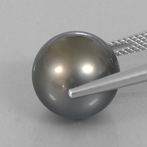 12.75カラットの天然シルバーパール（12.10 mm・球体 / ボール）