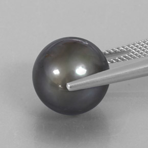 12.75カラットの天然シルバーパール（12.10 mm・球体 / ボール）