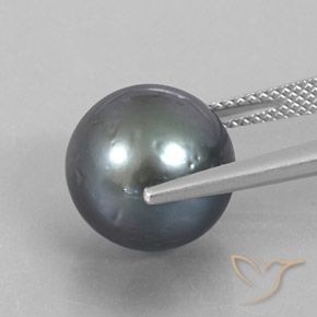 12.49カラットの天然Silver パール（12.20 mm・球体 / ボール）