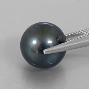 12.65カラットの天然シルバーパール（11.98 mm・球体 / ボール）