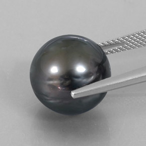 14.52カラットの天然ダークシルバーパール、スフェア / ボール、オペーク