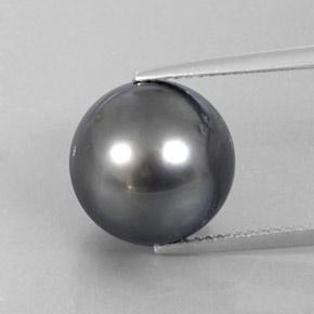 13.13カラットの天然灰色パール（12.16 mm・球体 / ボール）