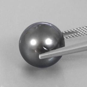 13.13カラットの天然灰色パール（12.16 mm・球体 / ボール）