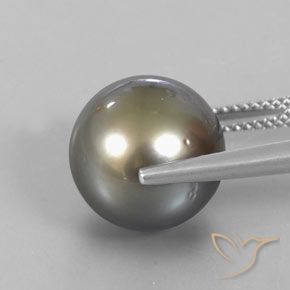 13.25カラットの天然ミディアムダークグレーパール、スフェア / ボール、オペーク