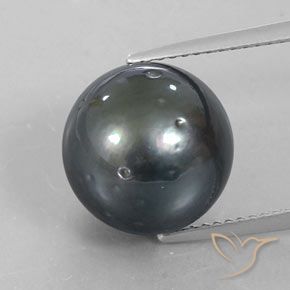 12.39 カラット グレー パール ジェムストーン, ボール ルースパール 南海から, 天然宝石, 12 mm, Photo A