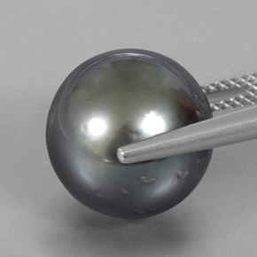 16.38カラットの天然シルバーパール（13.08 mm・球体 / ボール）
