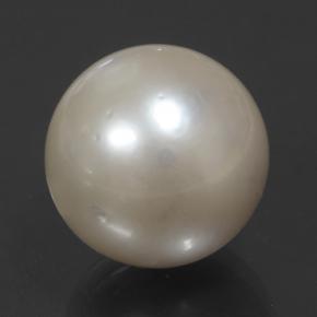 14.32カラットの天然クリームパール（12.65 mm・球体 / ボール）