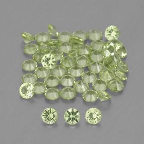 1.47カラットの天然ウォームグリーンペリドット（2.00 mm・ラウンドカット）