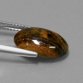 3.99カラットの天然マルチカラーピーターサイト、オーバルカット、オペーク