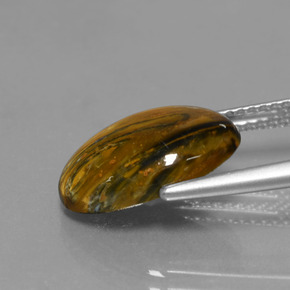 3.89カラットの天然マルチカラーピーターサイト、オーバルカット、オペーク