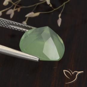 6.75カラットの天然Light Yellow Green プレナイト、クッション、半透明