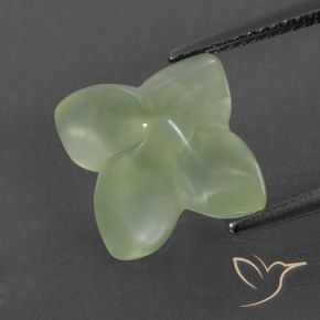 6.89カラットの天然Pale Green プレナイト、フラワーカット、透明/半透明