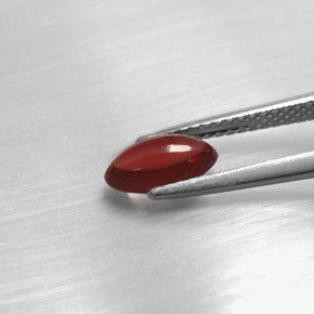 1.20カラットの天然レッドパイロープガーネット（8.3×4.7 mm・透明）