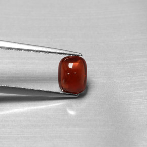 1.47カラットの天然レッドパイロープガーネット（7.2×5.5 mm・透明）