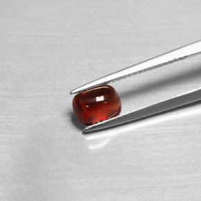 1.47カラットの天然レッドパイロープガーネット（7.2×5.5 mm・透明）