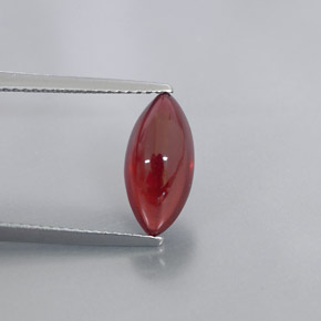 3.08カラットの天然レッドパイロープガーネット（12.6×6 mm・透明）