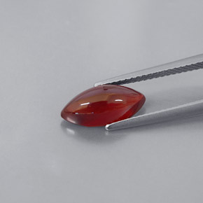 3.08カラットの天然レッドパイロープガーネット（12.6×6 mm・透明）