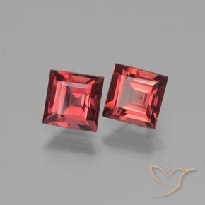 Shop natural 1.69ct 濃いレッドワイン パイロープガーネット gems, 四角形, from モザンビーグ at GemSelect. In stock, global shipping!