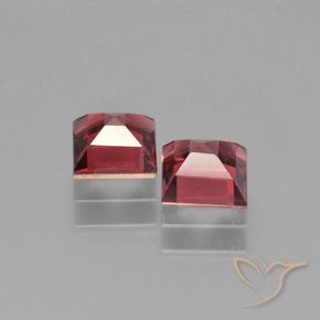 Shop natural 1.57ct メルローレッド パイロープガーネット gems, 四角形, from モザンビーグ at GemSelect. In stock, global shipping!