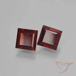 自然派の商品を探す 1.55ct ダークレッド パイロープガーネット 宝石, 四角形, モザンビーグ からGemSelectで. 在庫あり、世界各国へ発送!