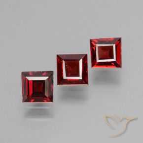 Shop natural 1.70ct 濃いブラッドレッド パイロープガーネット gems, 四角形, from モザンビーグ at GemSelect. In stock, global shipping!