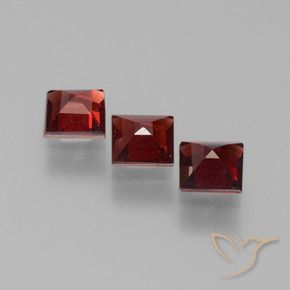 Shop natural 1.70ct 濃いブラッドレッド パイロープガーネット gems, 四角形, from モザンビーグ at GemSelect. In stock, global shipping!
