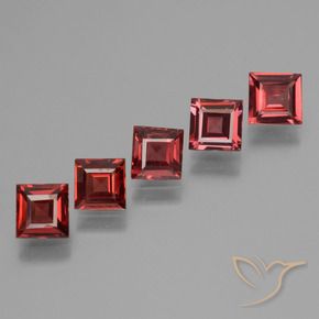 Shop natural 2.78ct ブラッドレッド パイロープガーネット gems, 四角形, from モザンビーグ at GemSelect. In stock, global shipping!